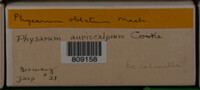 Image Associated With the Occurence